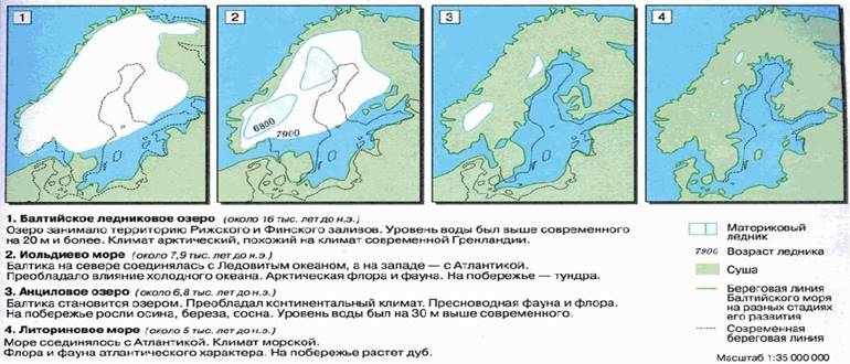 Карта литоринового уступа в спб