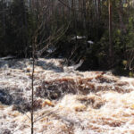 Нижняя ступень порога Табун на реке Лоймола